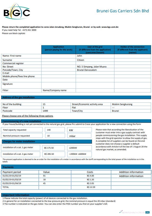 download download Brunei Gas Carriers gas utility bill